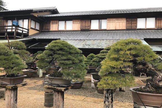 Make Your Own BONSAI With a Professional Artist in Tokyo - Immerse Yourself in Japanese Culture