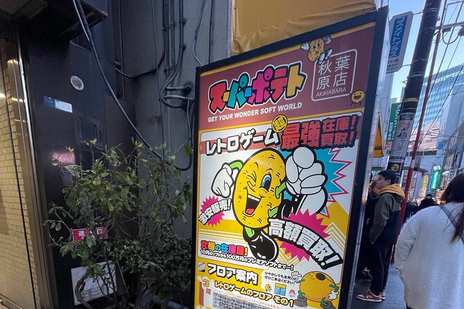Make Your Own Tokyo Tour With an Experienced/Certifed Guide - Accessibility