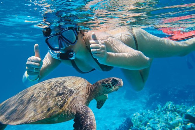 Makena Turtle Town Eco Adventure in Maui - Customer Feedback