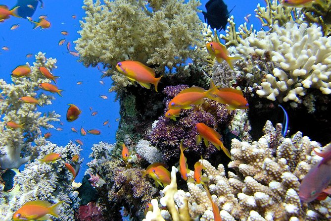 Makena Turtle Town Eco Adventure in Maui - Tour Cancellation Details