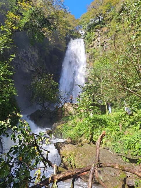 Makhuntseti: Day Tour with Waterfall, Arch Bridge - Practicalities and Tips for Travelers  