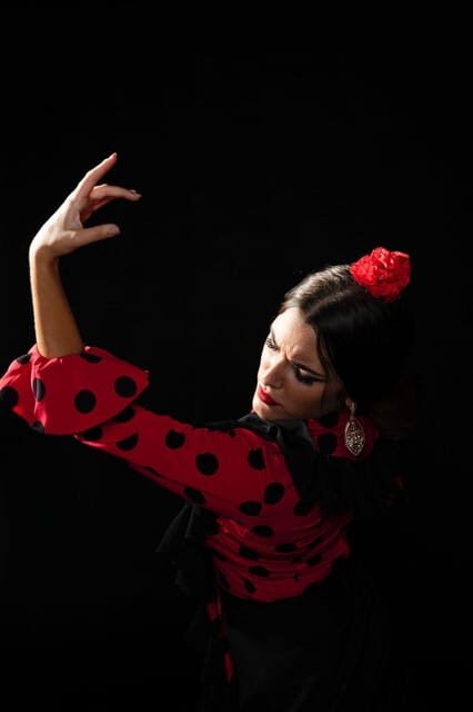 Malaga: Authentic Flamenco Dinner Show at Vino Mio - Key Points