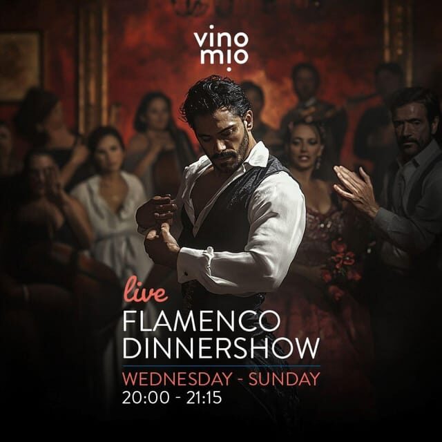 Malaga: Authentic Flamenco Dinner Show at Vino Mio - A Deep Dive into the Flamenco Experience