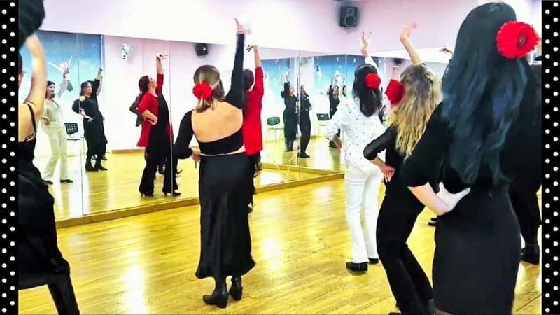 Málaga, Benalmádena, Arroyo de la Miel: Flamenco Dance Class - The Instruction and Experience