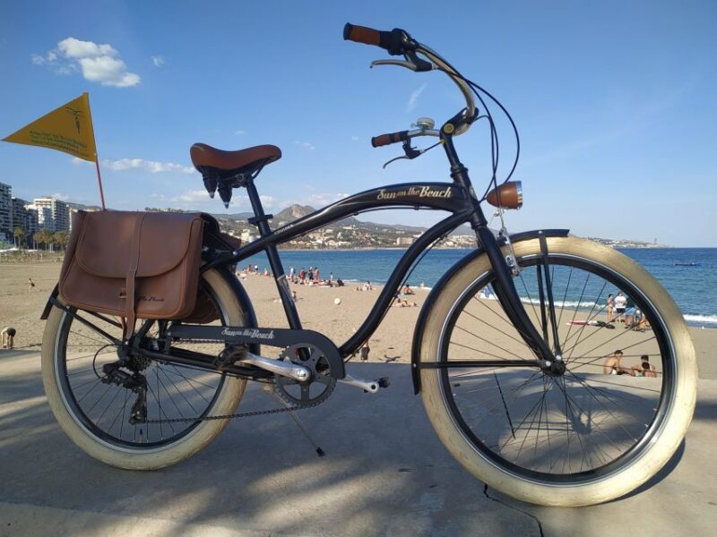 Malaga: Bike Rental for City Discovery Route & Beaches - Accessibility and Assistance