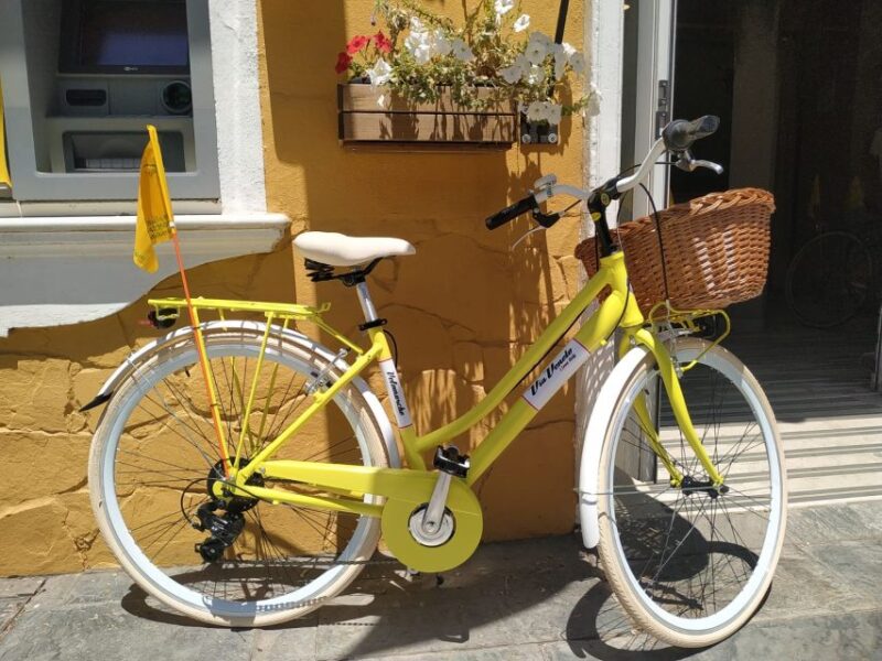 Malaga: Bike Rental for City Discovery Route & Beaches - Customer Feedback
