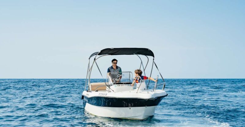 Malaga: Boat Rental without a License for Dolphin Watching - What To Know Before Booking