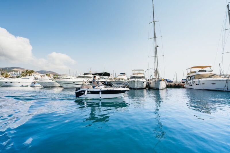 Malaga: Boat Rental without a License for Dolphin Watching - Price & Value Analysis