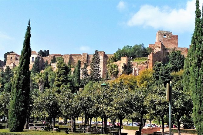 Malaga City: Private Walking Tour by Tours in Malaga - Meeting and Pickup Details