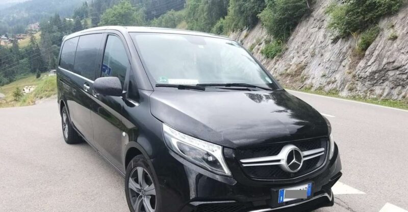 Malaga Cruise Port: Transfer to Malaga Hotels - Luggage Assistance