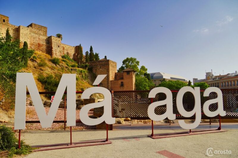 Malaga: Electric Car City Tour and Visit Gibralfaro Castle - Experience Features