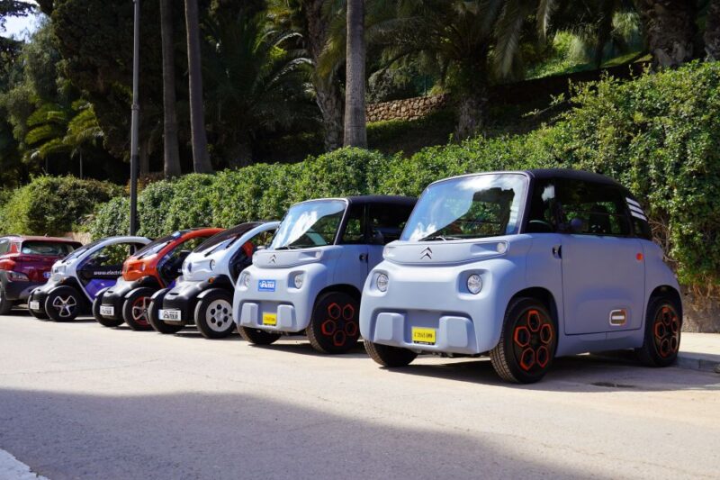 Malaga: Electric Car City Tour and Visit Gibralfaro Castle - Important Information