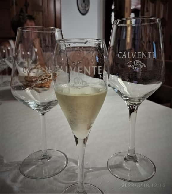 Malaga & Granada: Wine Tasting and Tapas with Resort Pickup - Starting with Comfort and Convenience