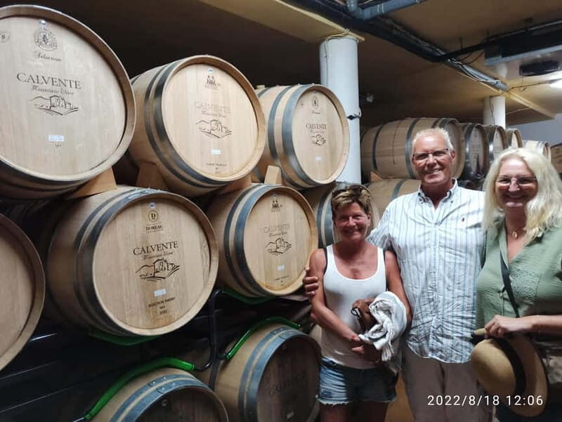 Malaga & Granada: Wine Tasting and Tapas with Resort Pickup - Tasting Wines: A Personal Journey