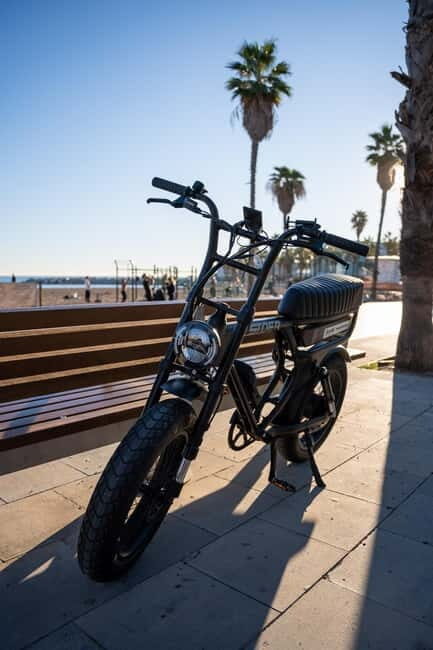 Malaga: Guided E-Fatbike Tour with Panoramic Views - Key Points