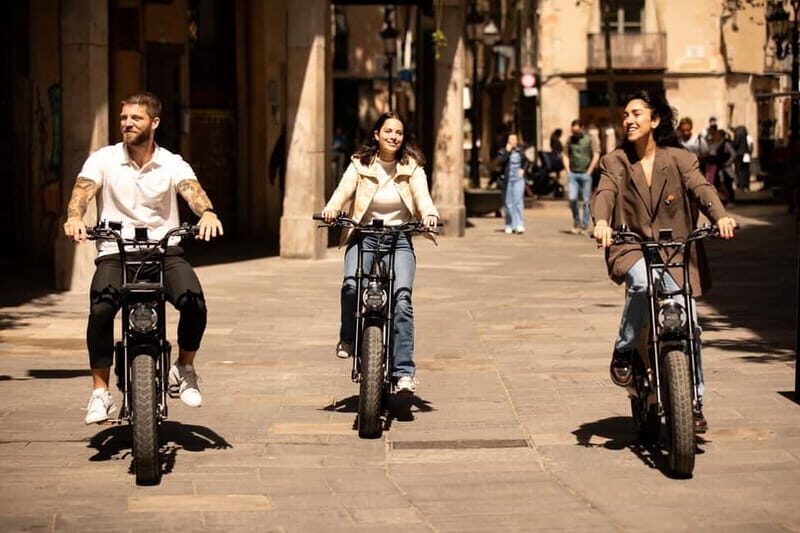 Malaga: Guided E-Fatbike Tour with Panoramic Views - An Overview of the Experience