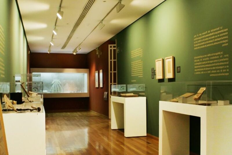 Malaga: Guided Tour of Picassos Birthplace Museum - Frequently Asked Questions