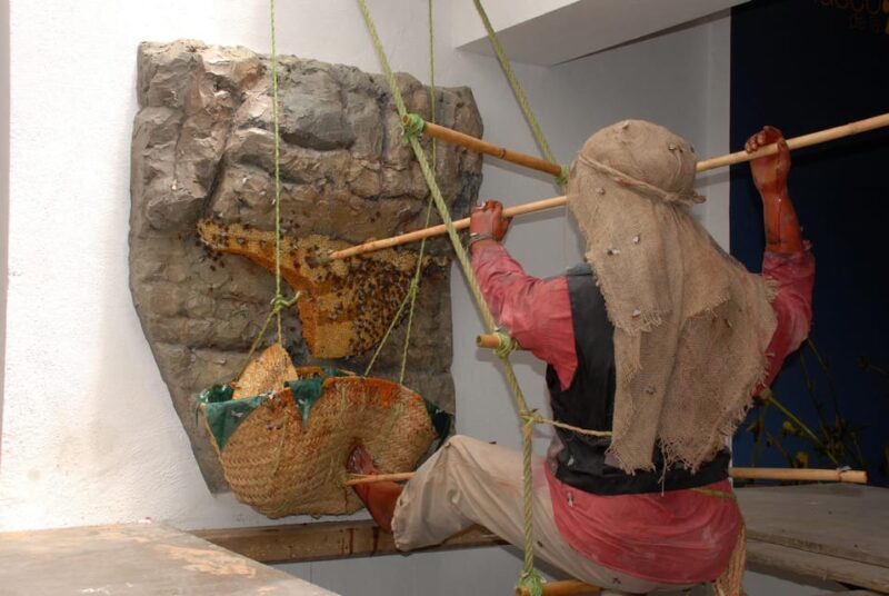 Malaga: Honey Museum and Hives Guided Tour With Tasting - Beeswax Candle-Making Workshop