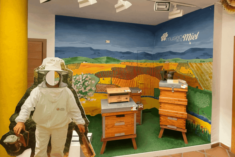 Malaga: Honey Museum Entry Ticket - Itinerary Details