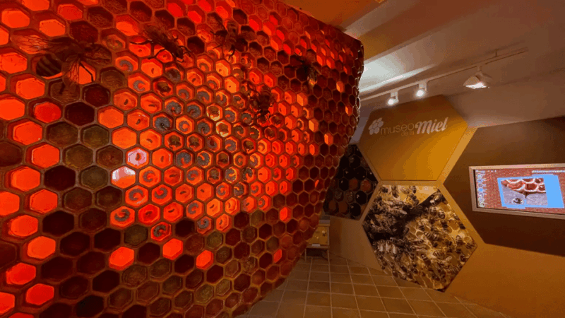 Malaga: Honey Museum Entry Ticket - What to Expect During Your Visit