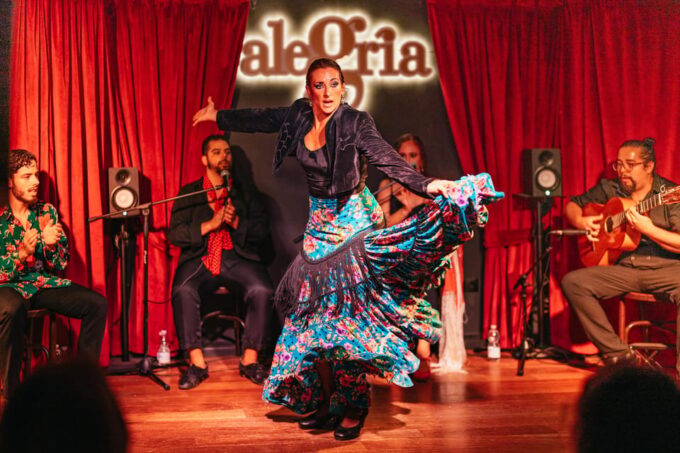 Málaga: Live Flamenco Show at Flamenco Alegría - Accessibility and Amenities
