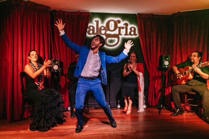 Málaga: Live Flamenco Show at Flamenco Alegría - How to Attend the Show