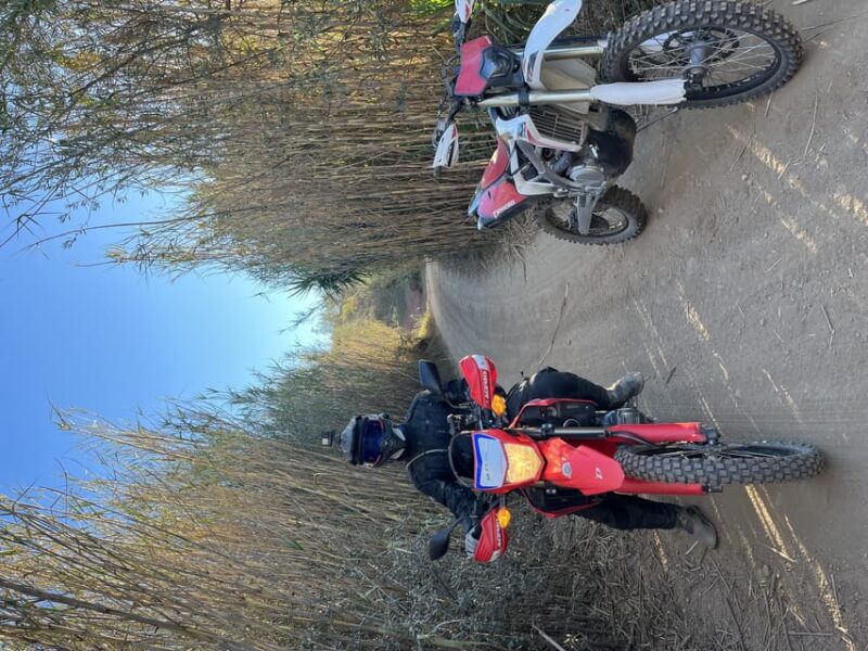 Málaga: One Day Off-Road Motorbike Tour - Experience and Customization