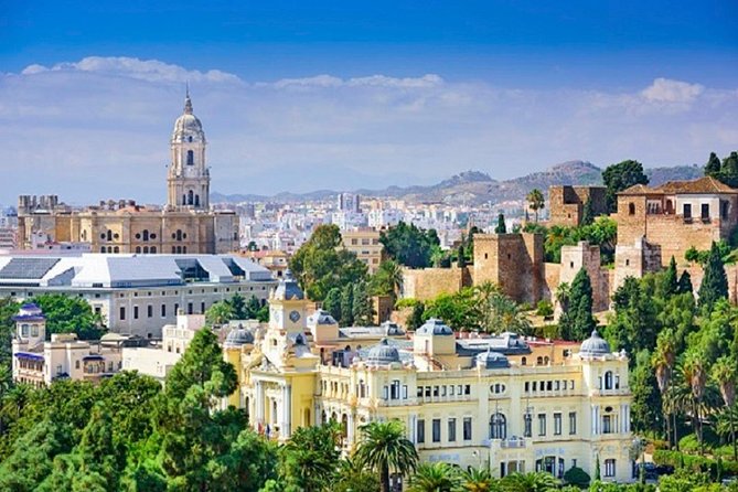 Málaga Picasso Museum Private Guided Tour - Review Highlights
