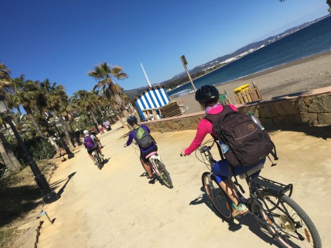 Malaga: Premium Guided Bike Tour - Tips for an Enjoyable Bike Tour