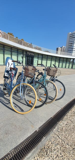 Malaga: Private Bike Rental - Accessibility and Restrictions