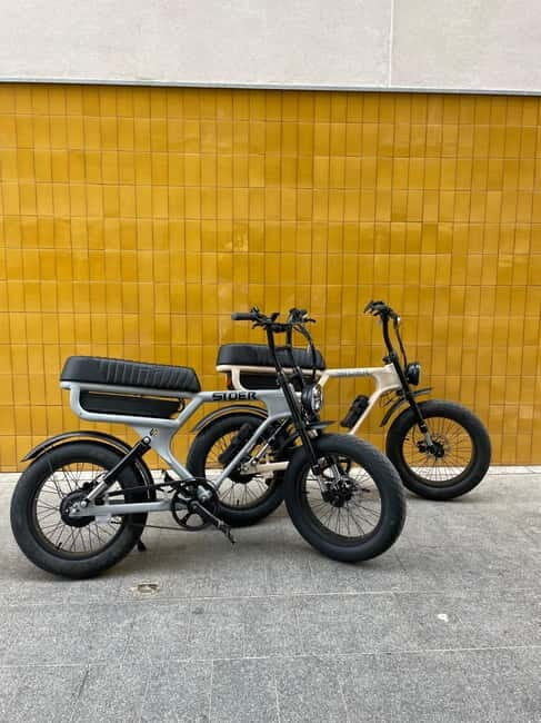 Málaga: Private Electric Fatbike Tour with Guide - The Bikes: Comfort and Style