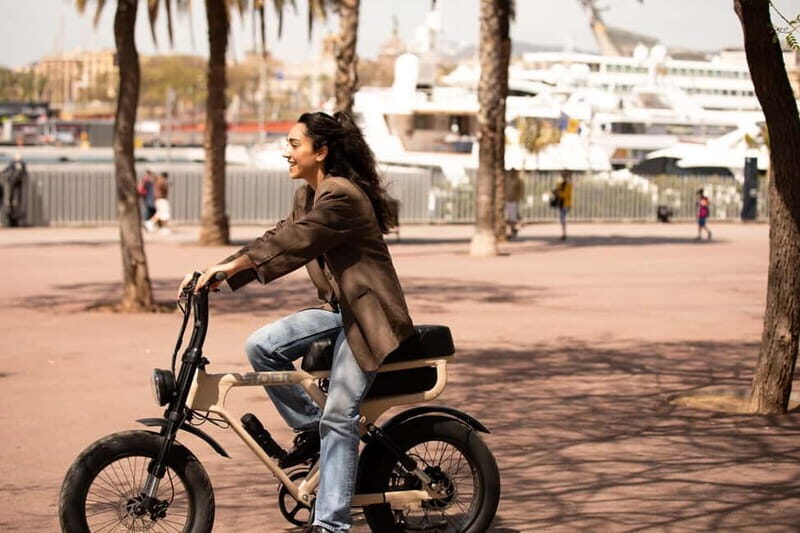 Málaga: Private Electric Fatbike Tour with Guide - Price and Value