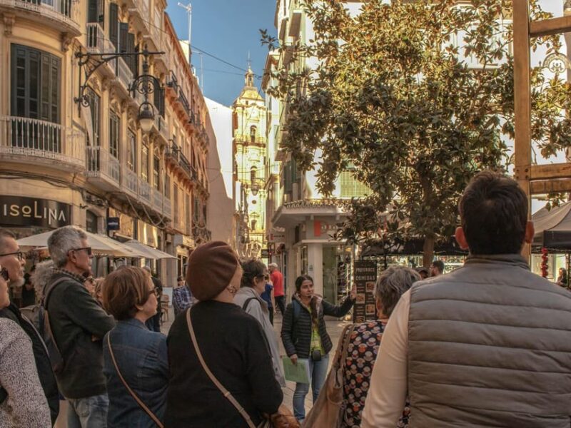 Málaga: Private Guided Walking Tour in the Historic Center - Tour Highlights