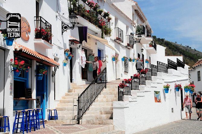 Malaga private Shore Excursion: Malaga Highlights & Mijas White Washed Village - Key Points
