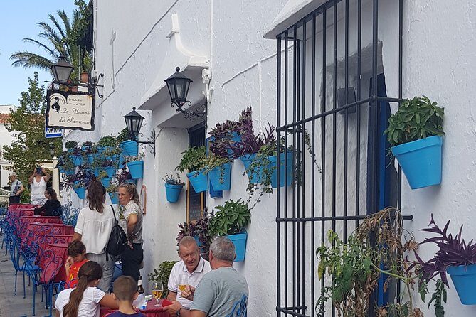 Malaga private Shore Excursion: Malaga Highlights & Mijas White Washed Village - A Closer Look at the Itinerary