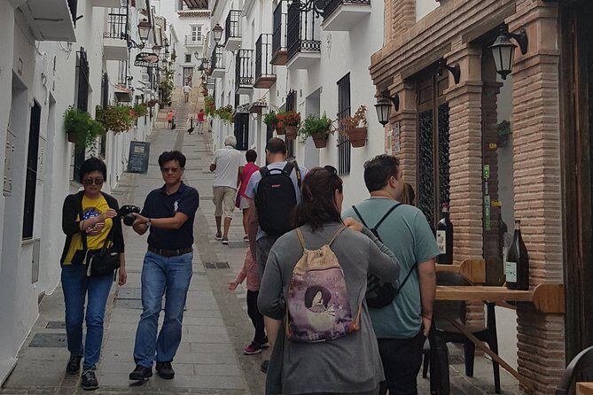 Malaga private Shore Excursion: Malaga Highlights & Mijas White Washed Village - Who Is This Tour Best For?