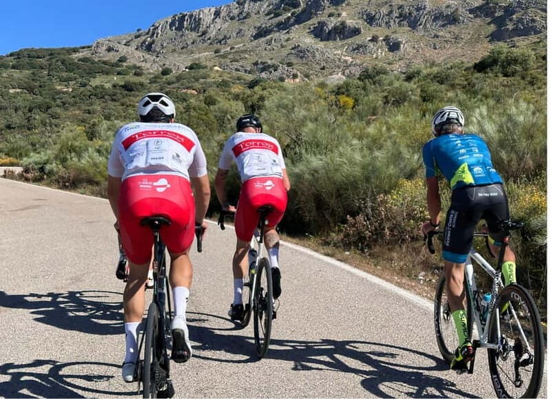 Málaga: Road Bike Tour with Guide and Bike Rental - A Route That’s a Visual Feast