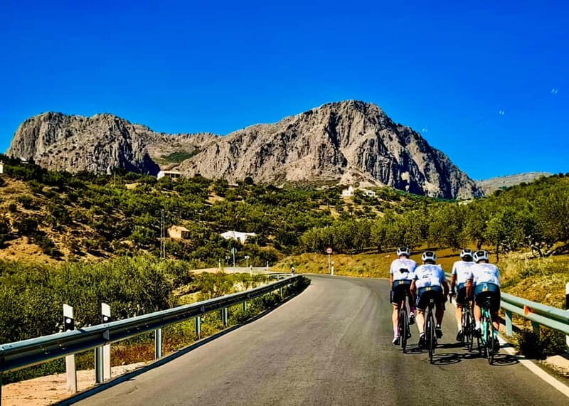 Málaga: Road Bike Tour with Guide and Bike Rental - The Practicalities