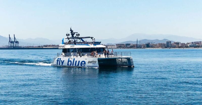 Malaga: Scenic Catamaran Cruise - An In-Depth Look at the Malaga Catamaran Experience
