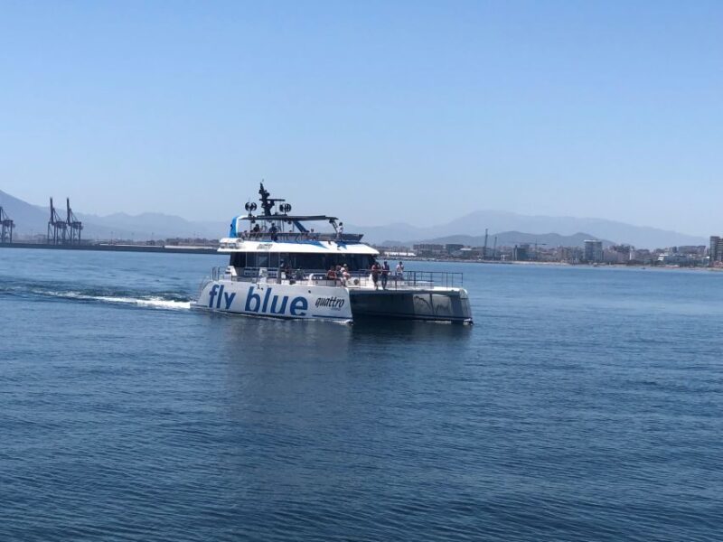 t3998778