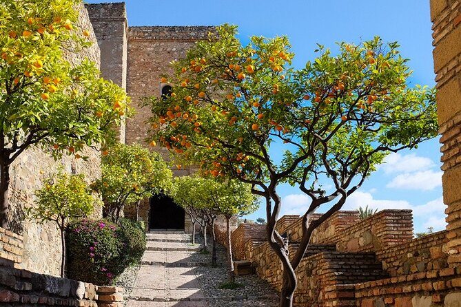 Malaga Super Tour - An In-Depth Look at the Malaga Super Tour