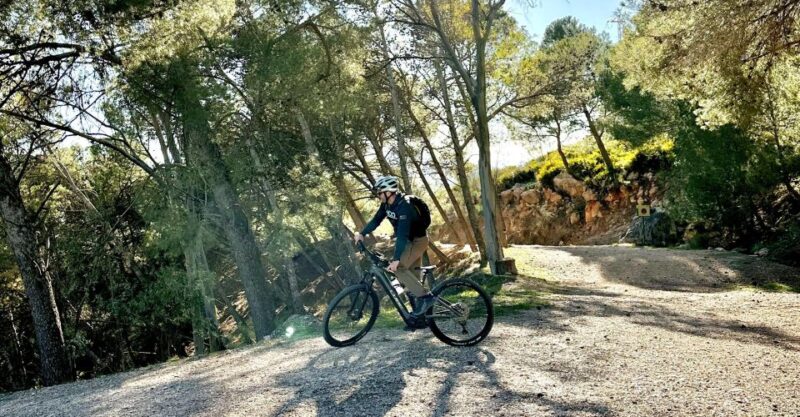 Málaga: the Chorro E-Bike Guided Tour 4h - Itinerary Breakdown