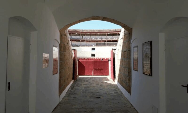Malaga: Tour of Malagueta Bullring & Immersive Exhibition - Who Will Love This Experience?