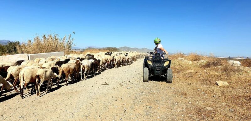 Málaga: Tour Off-Road 1-Hour Solo All-Terrain Quad Adventure - Safety and Participation Requirements