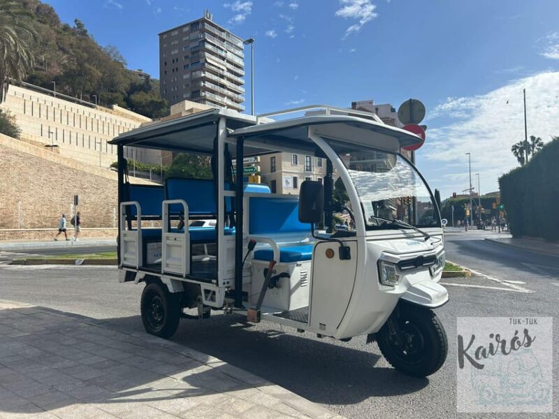 Malaga: Tuk Tuk Tour - Tour Highlights and Experience