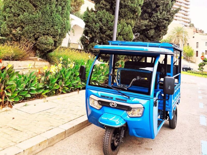 Malaga: Tuk Tuk Tour - Inclusions and Important Information