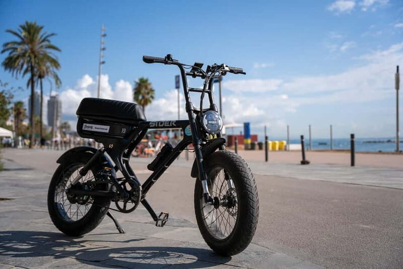 Malaga: Up to 8 hour Electric Fatbike Rental - Who Will Love This Experience?