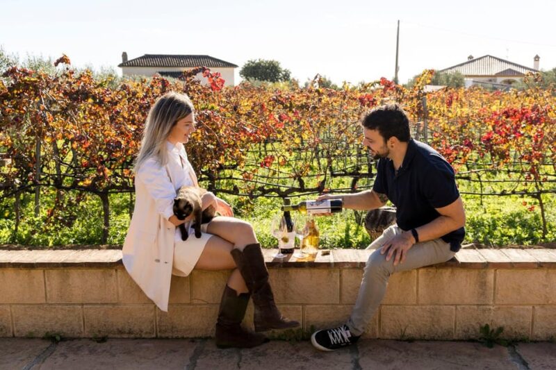 Malaga: Vineyard and Cellar Visit With 6 Top Wines and Tapas - Itinerary and Transportation