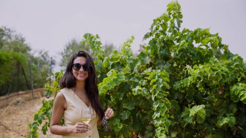 Malaga: Vineyard and Cellar Visit With 6 Top Wines and Tapas - Wine and Tapas Experience