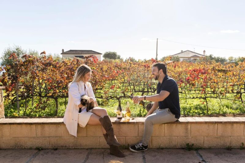 Malaga: Vineyard and Cellar Visit With 6 Top Wines and Tapas - Customer Feedback and Amenities